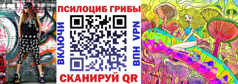Галлюциногенные грибы Psilocybe  Юрьевец 
